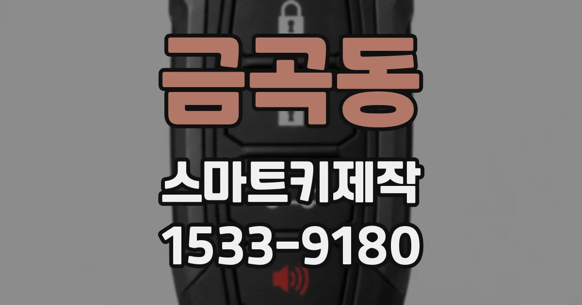 금곡동 스마트키제작