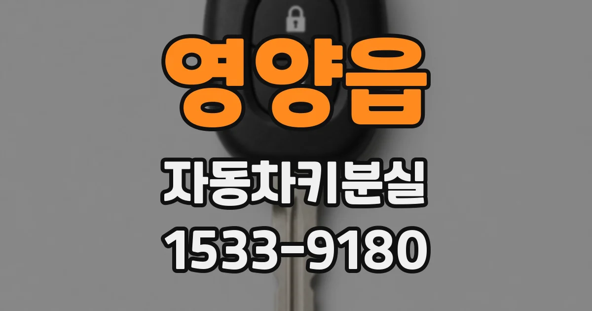 영양읍 자동차키분실