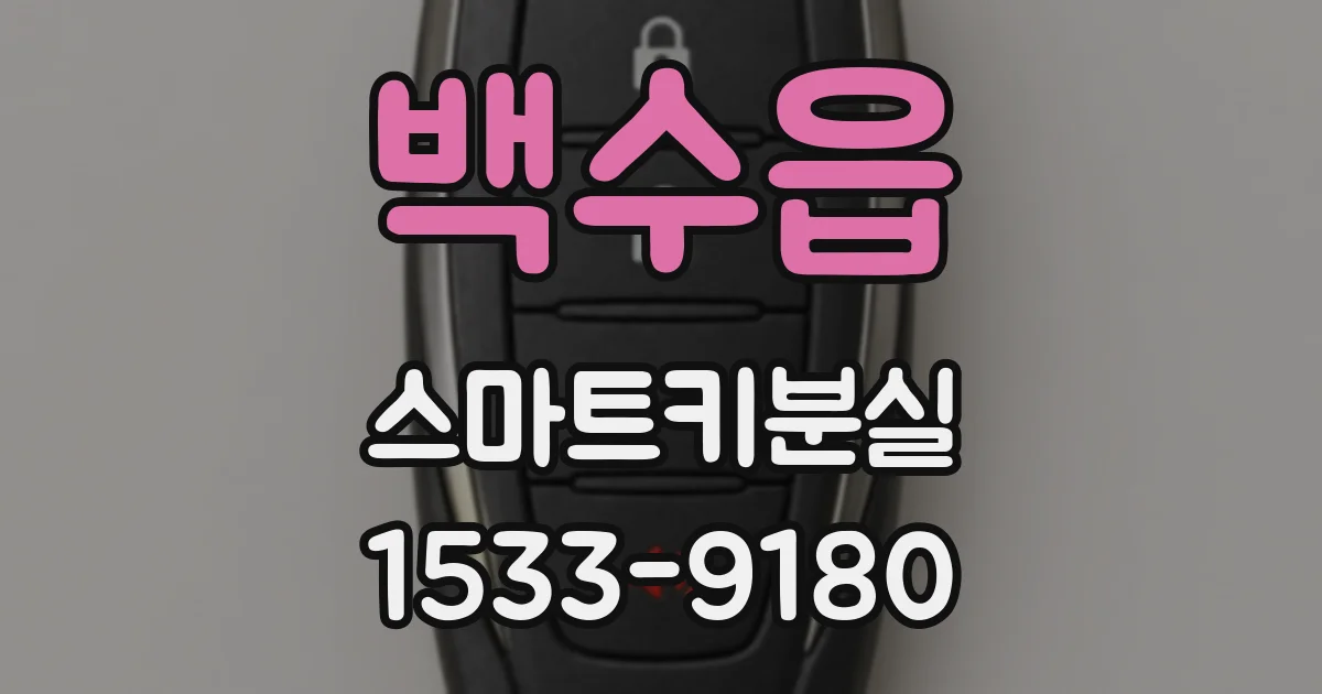 백수읍 스마트키분실