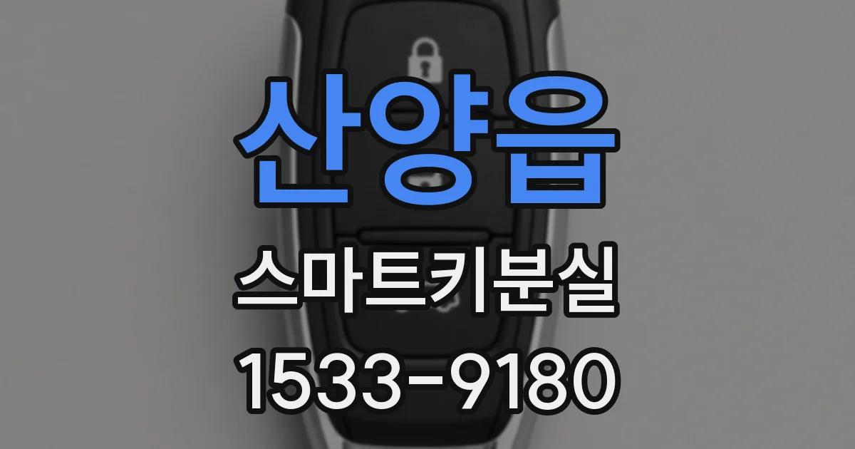 산양읍 스마트키분실