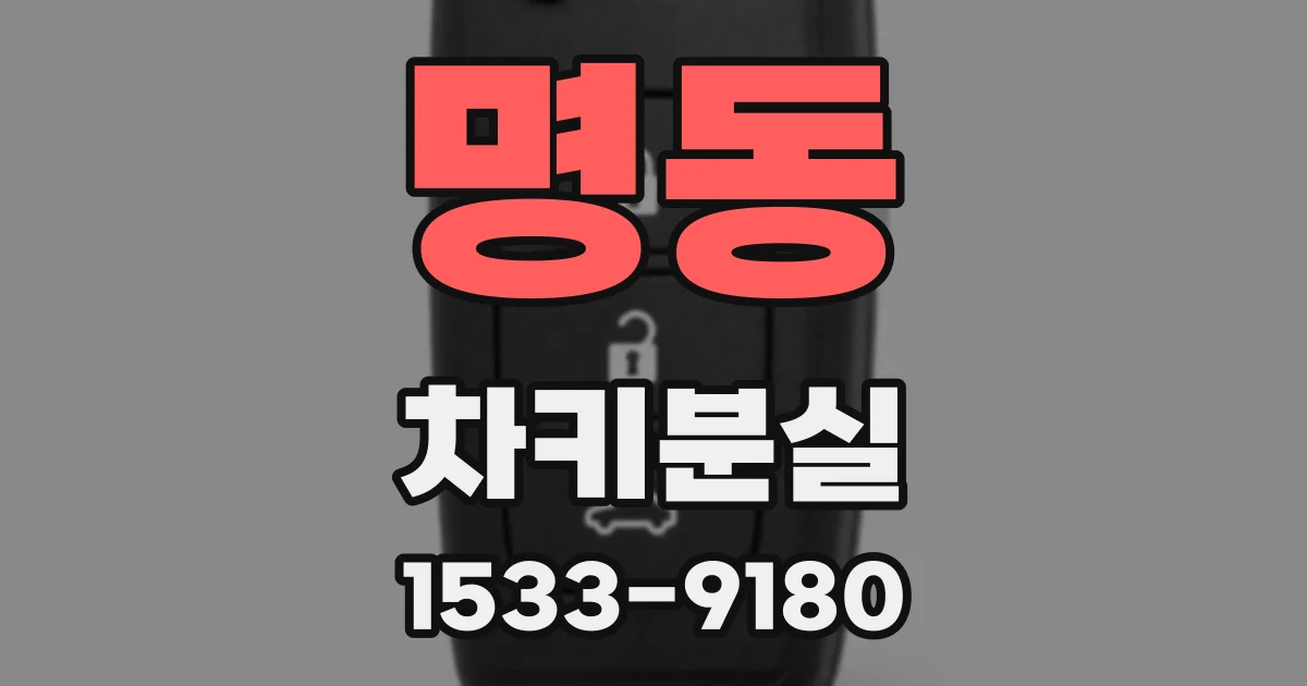 명동 차키분실