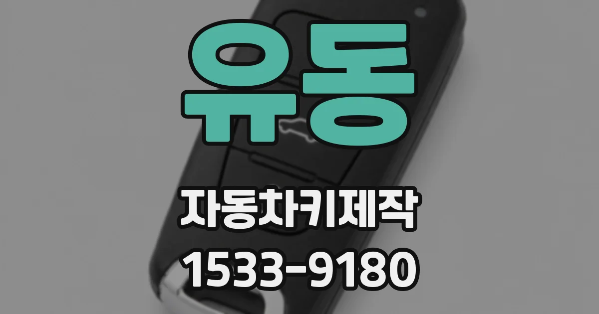 유동 자동차키제작