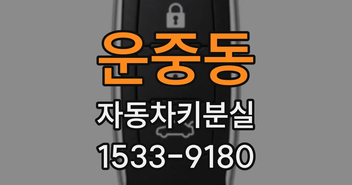 운중동 자동차키분실