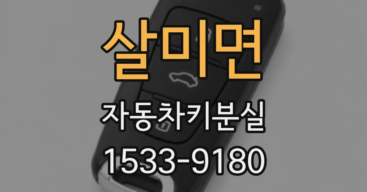 살미면 자동차키분실
