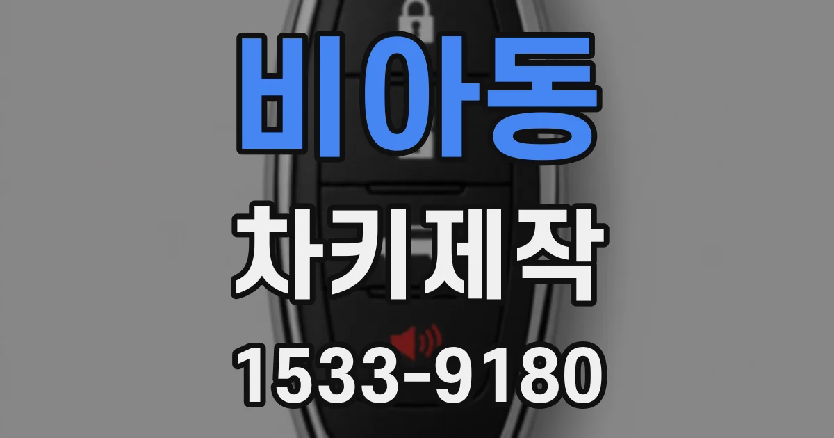 비아동 차키제작