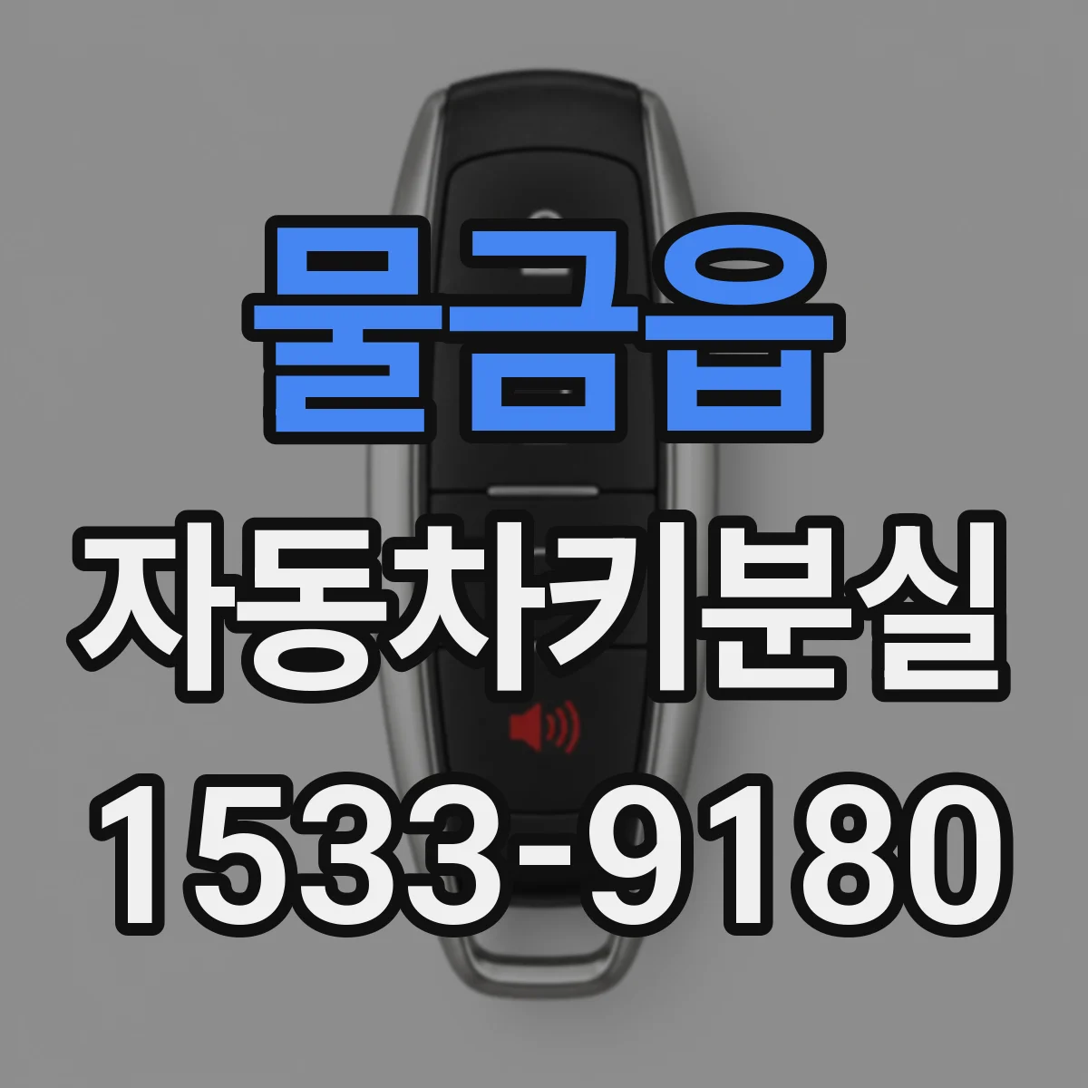 물금읍 자동차키분실