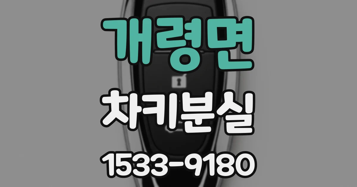 개령면 차키분실