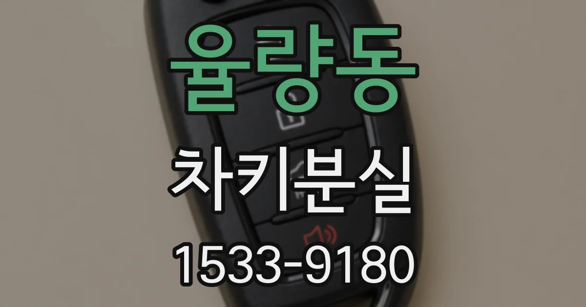율량동 차키분실