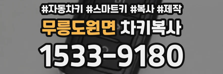 무릉도원면 차키복사