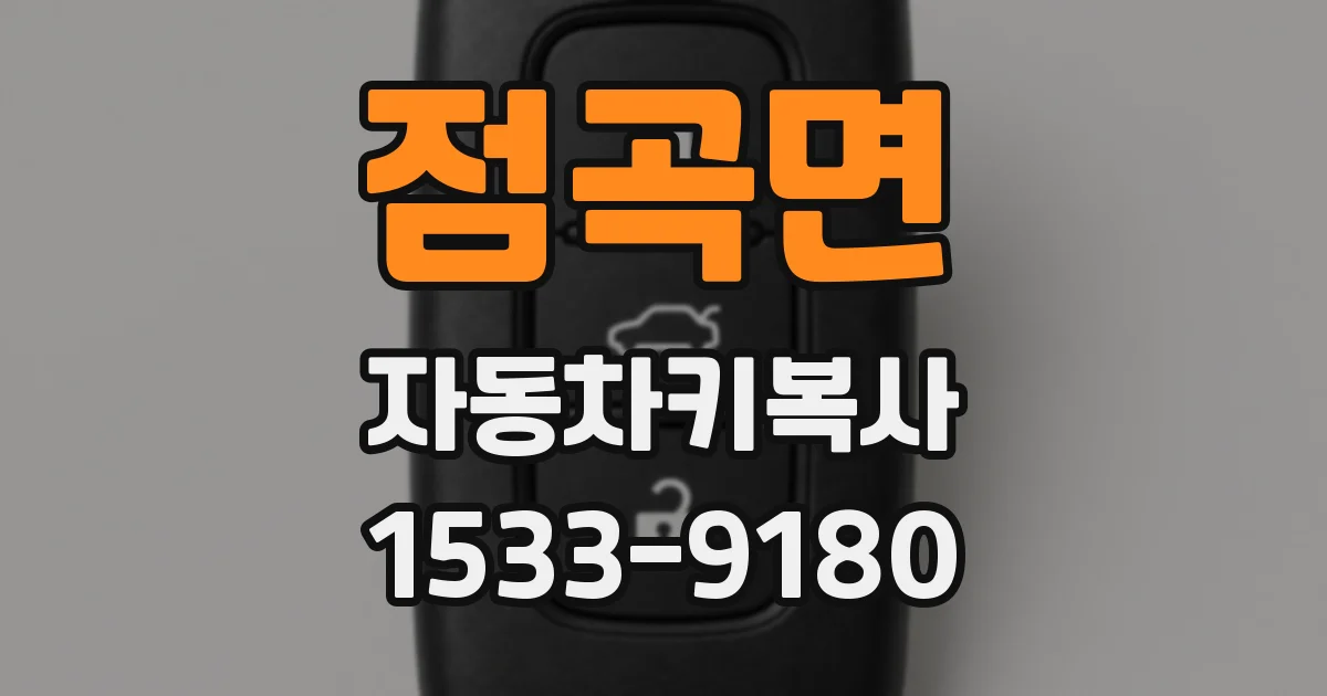 점곡면 자동차키복사