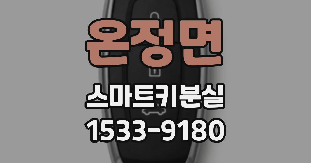 온정면 스마트키분실