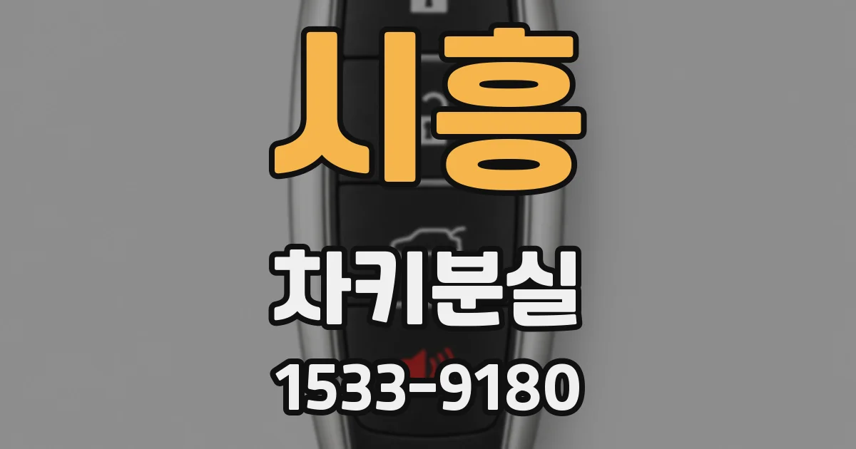 시흥 차키분실