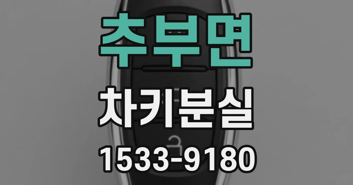 추부면 차키분실