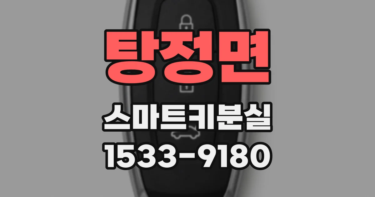 탕정면 스마트키분실