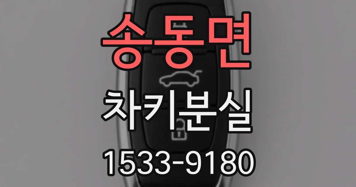 송동면 차키분실