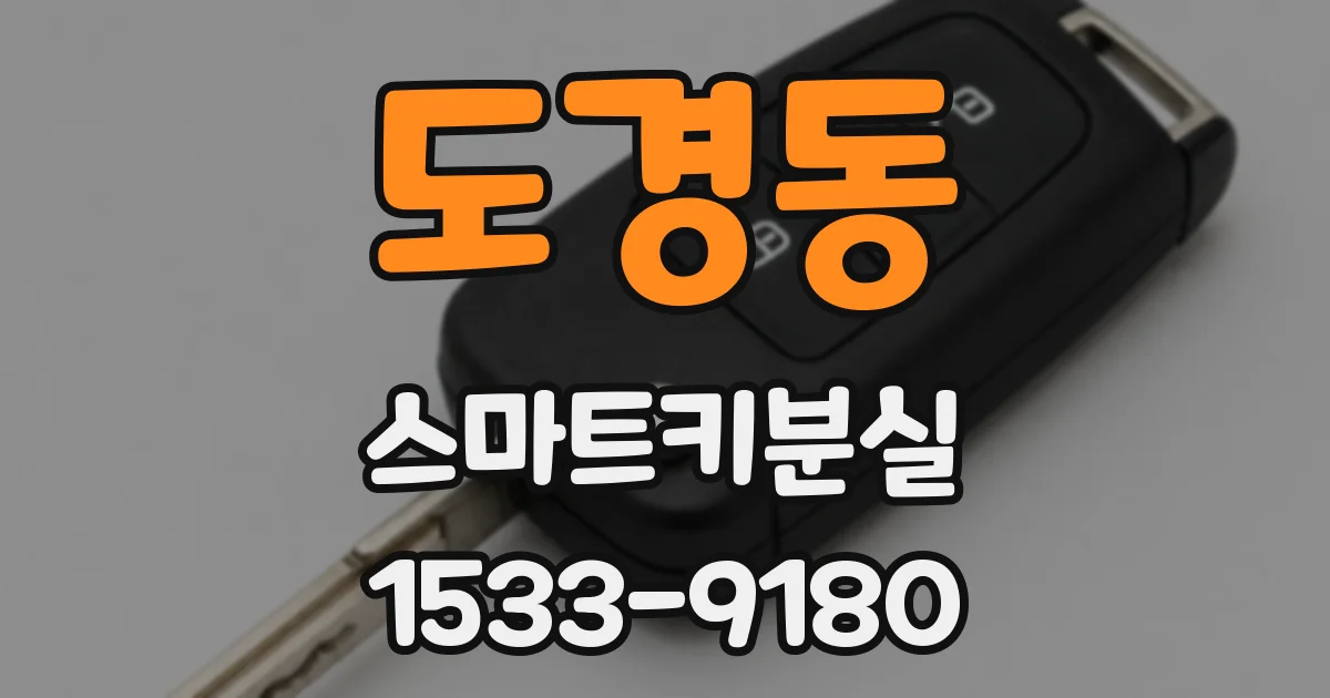 도경동 스마트키분실