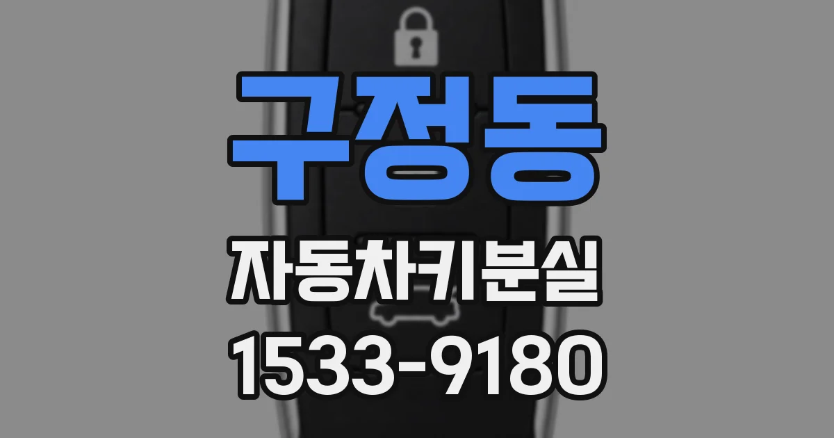 구정동 자동차키분실