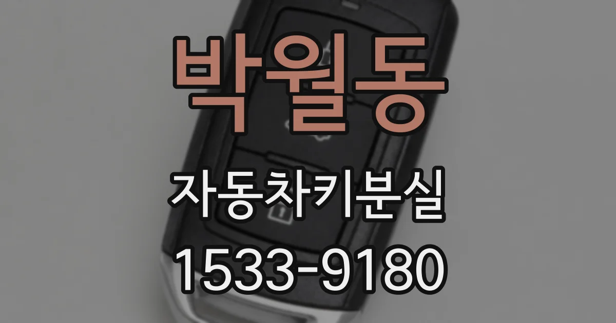 박월동 자동차키분실