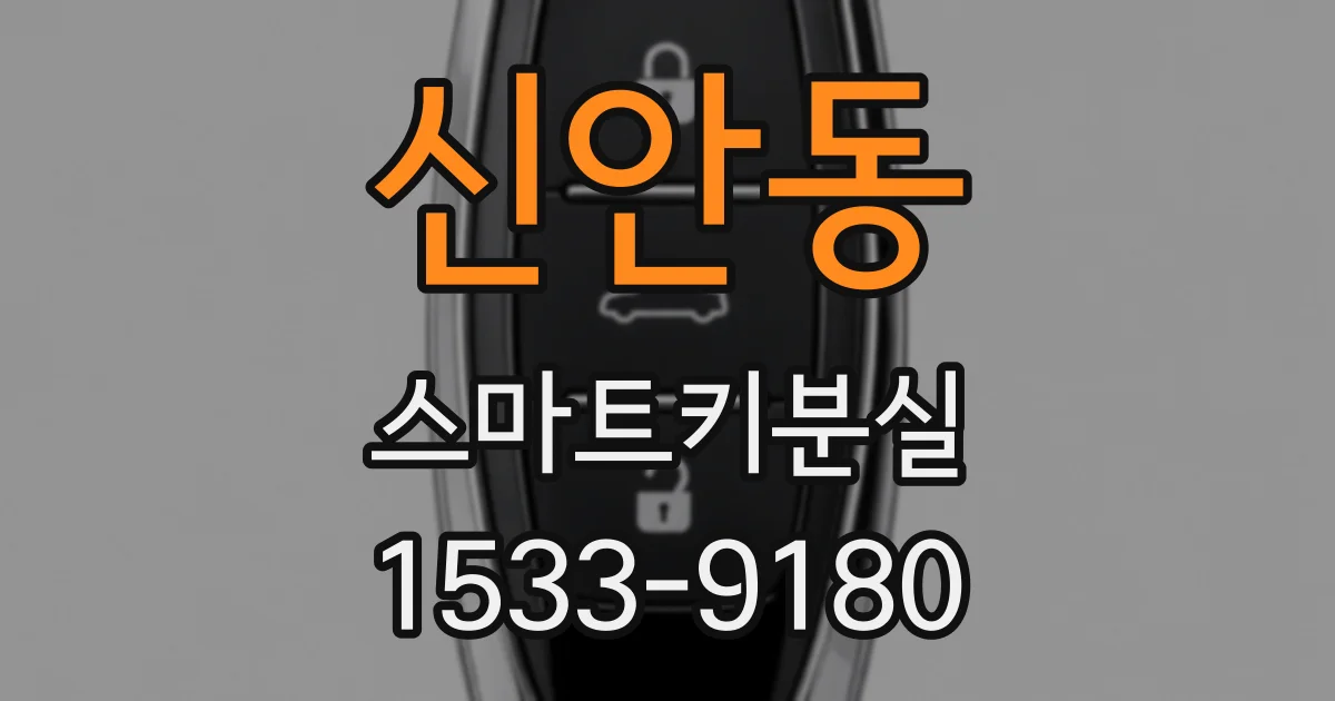 신안동 스마트키분실