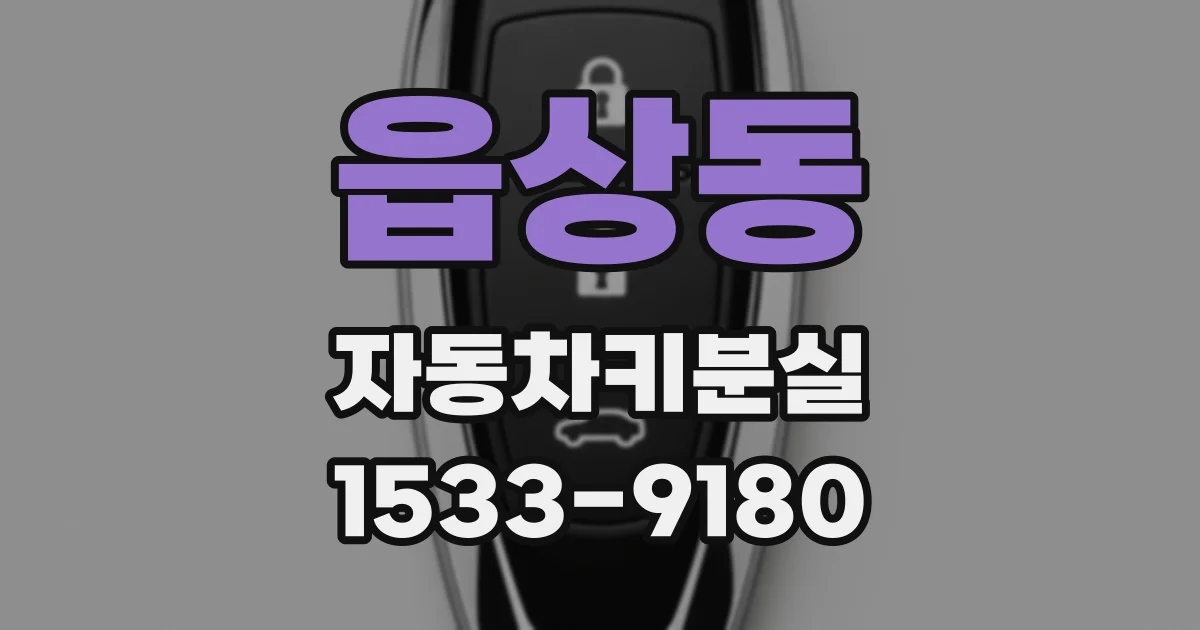 읍상동 자동차키분실