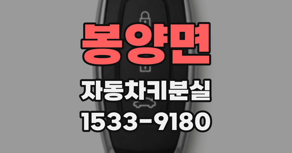 봉양면 자동차키분실