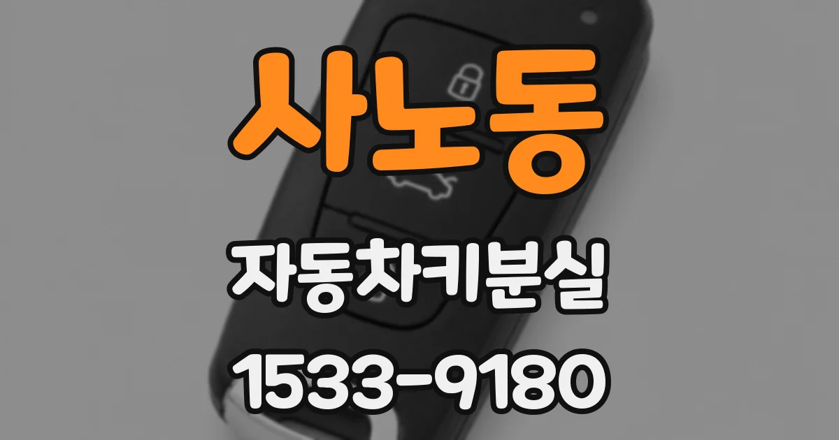 사노동 자동차키분실