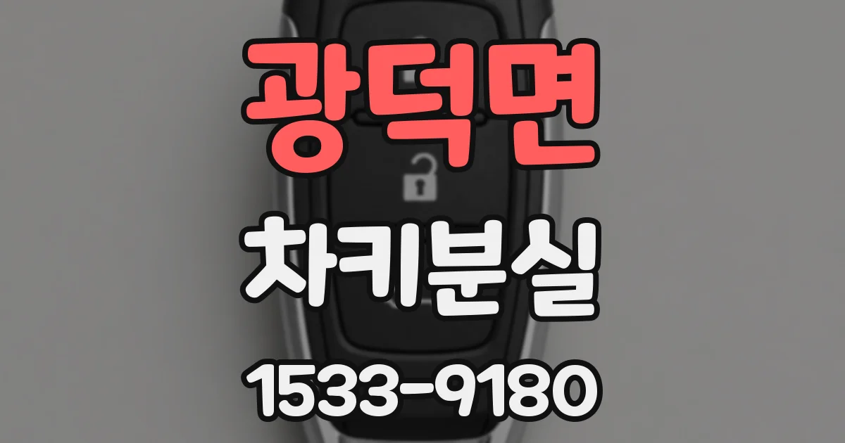 광덕면 차키분실