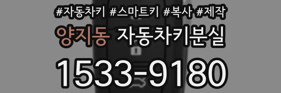 양지동 자동차키분실