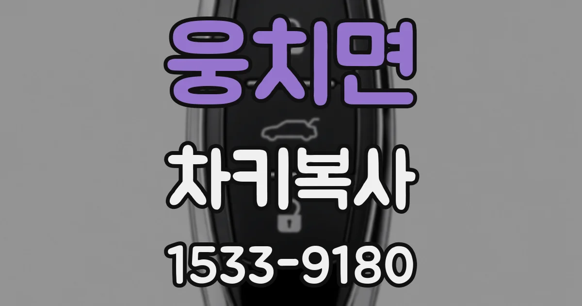 웅치면 차키복사