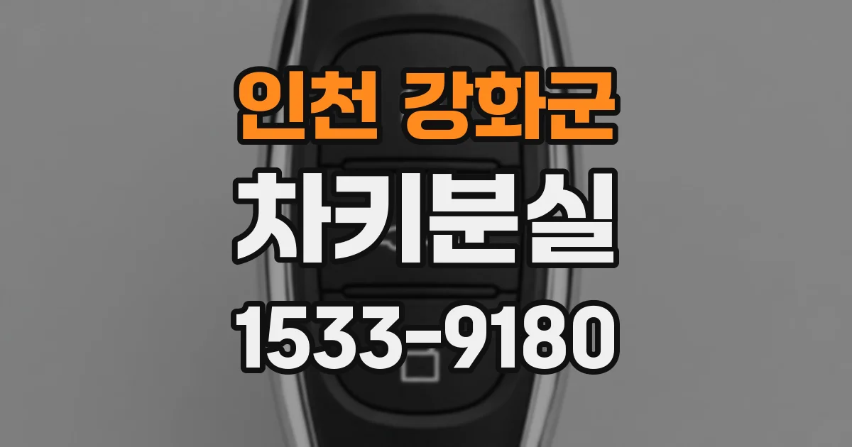 인천 강화군 차키분실