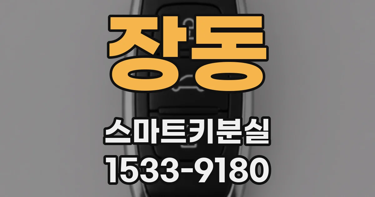 장동 스마트키분실
