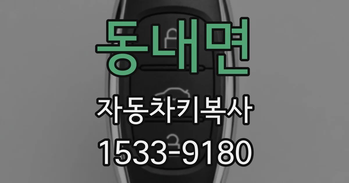 동내면 자동차키복사