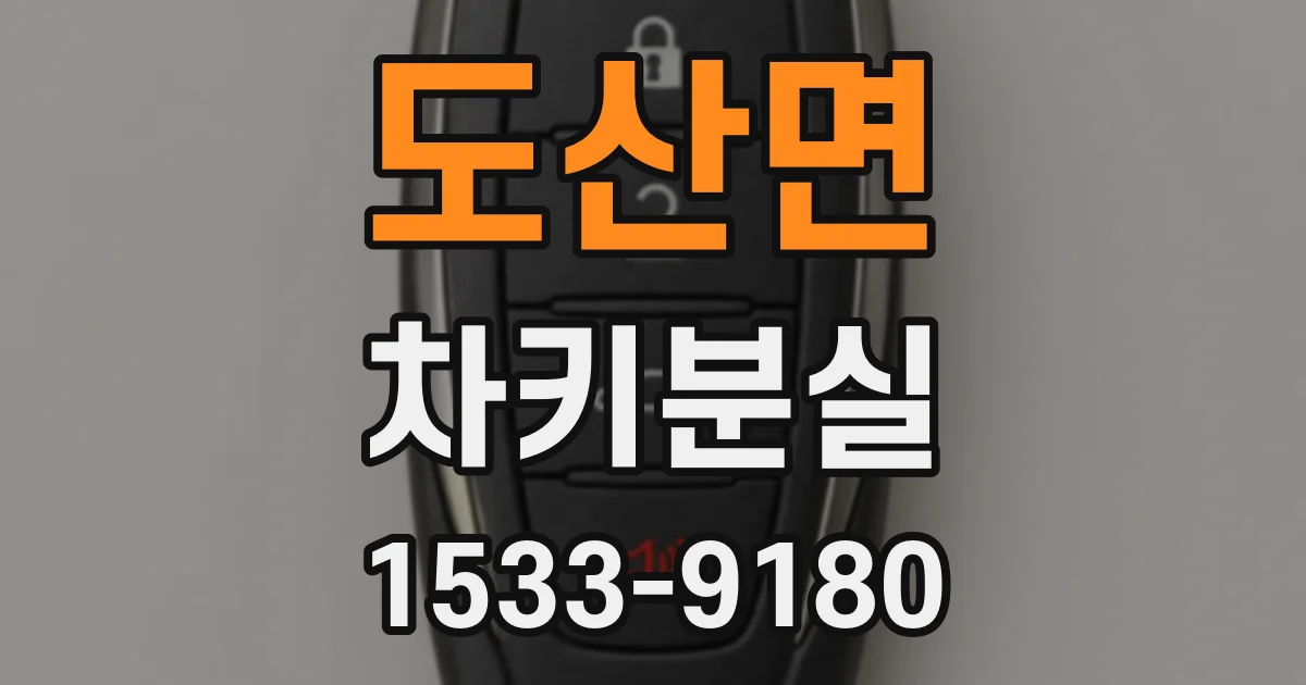 도산면 차키분실