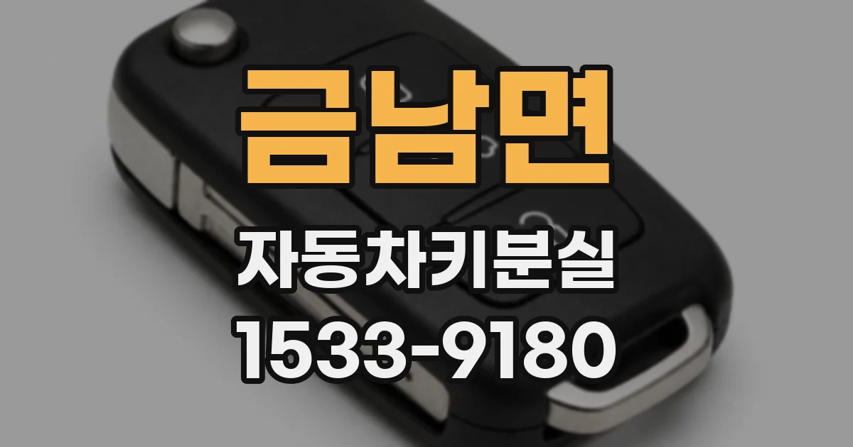 금남면 자동차키분실