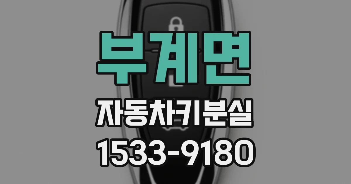부계면 자동차키분실