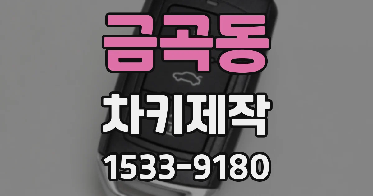 금곡동 차키제작