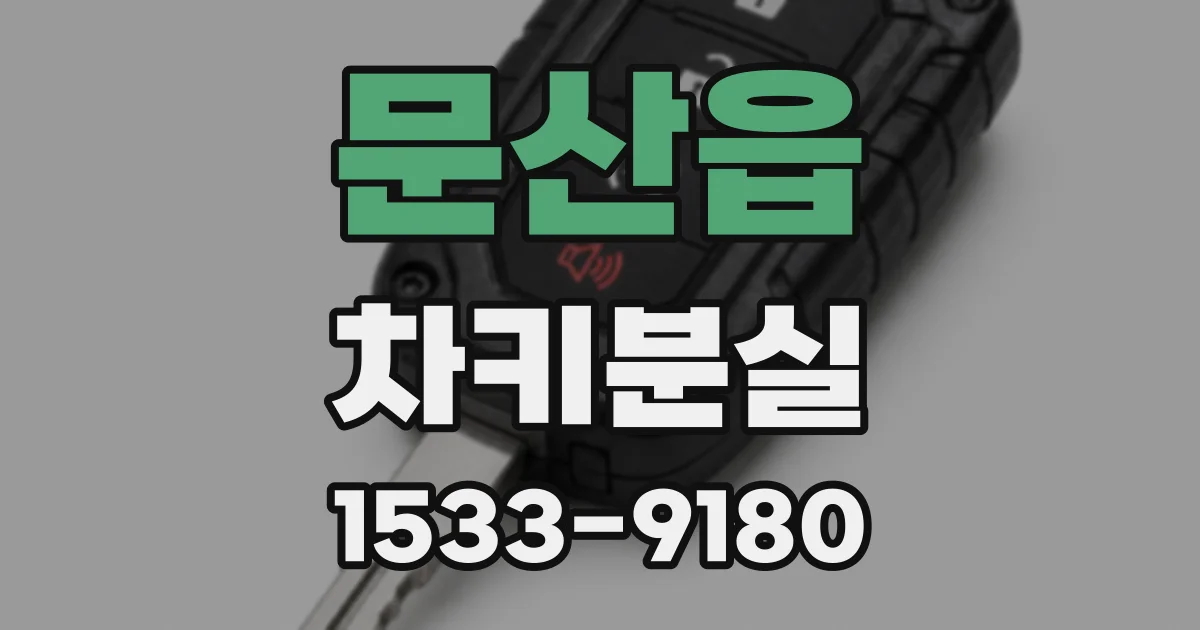 문산읍 차키분실