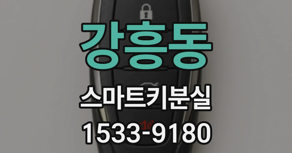 강흥동 스마트키분실