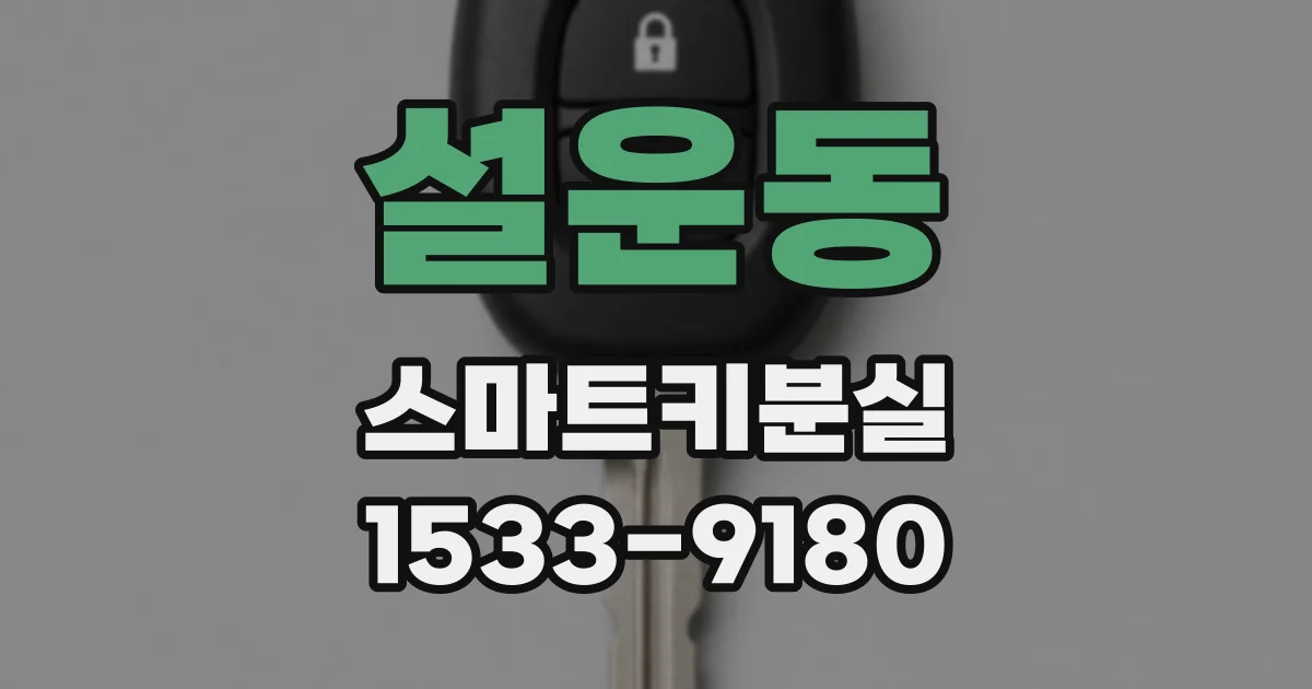 설운동 스마트키분실