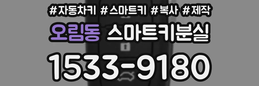 오림동 스마트키분실