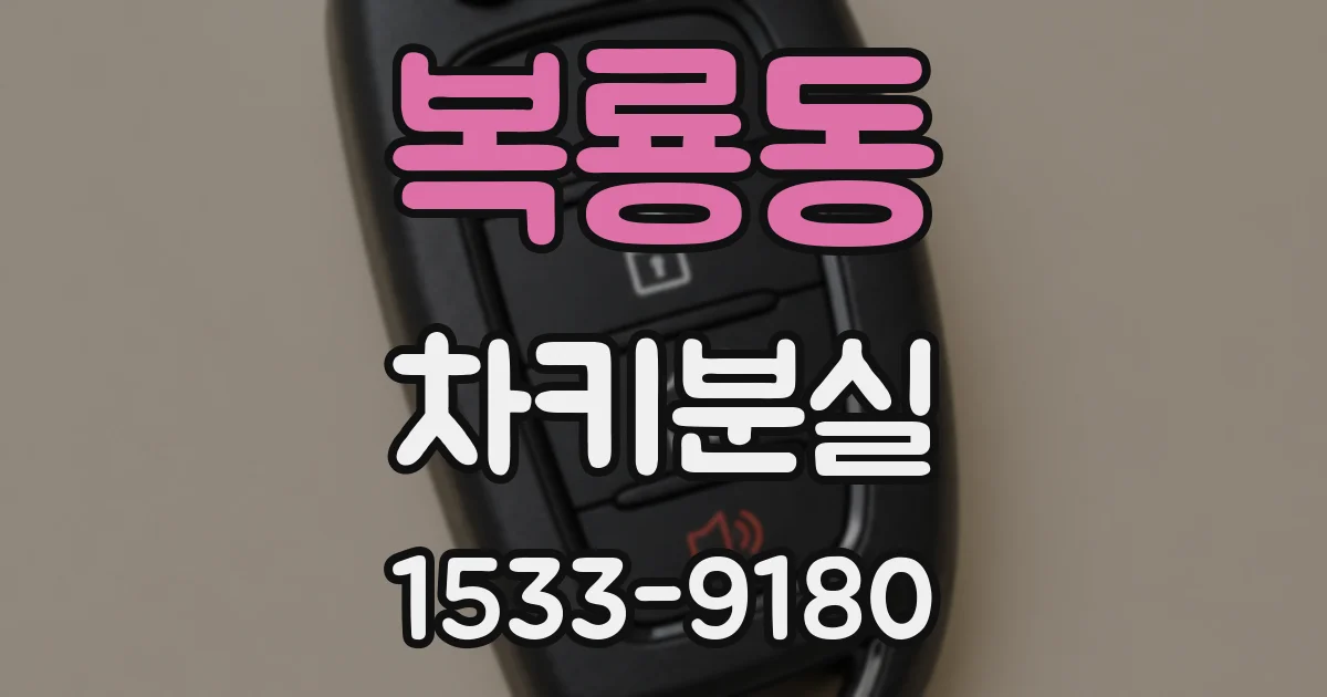 복룡동 차키분실