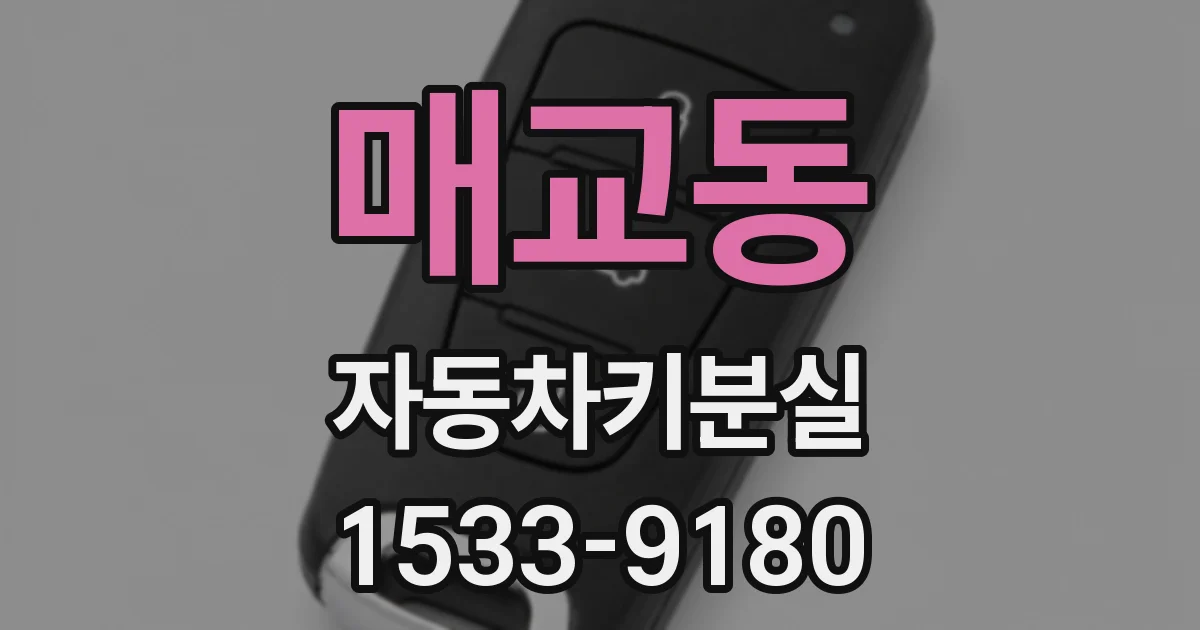 매교동 자동차키분실