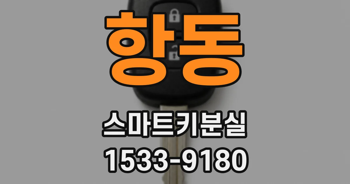 항동 스마트키분실