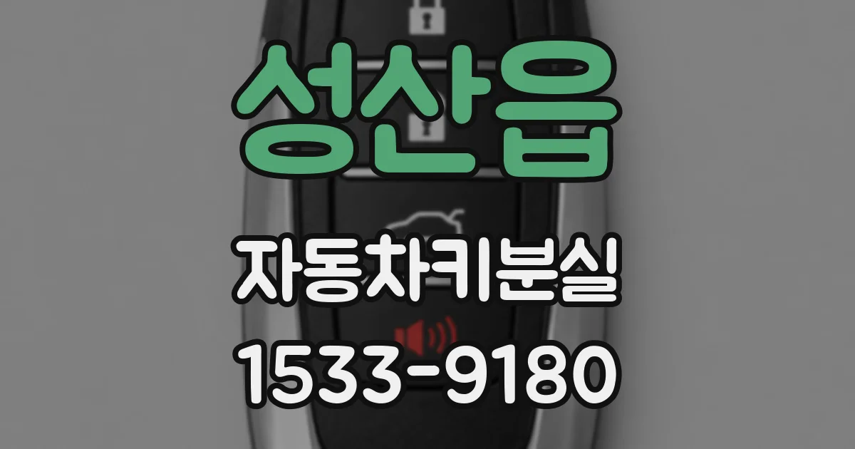 성산읍 자동차키분실