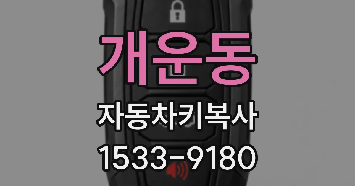 개운동 자동차키복사