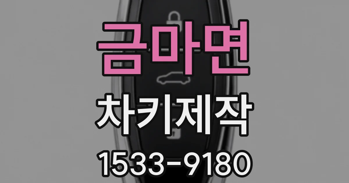 금마면 차키제작