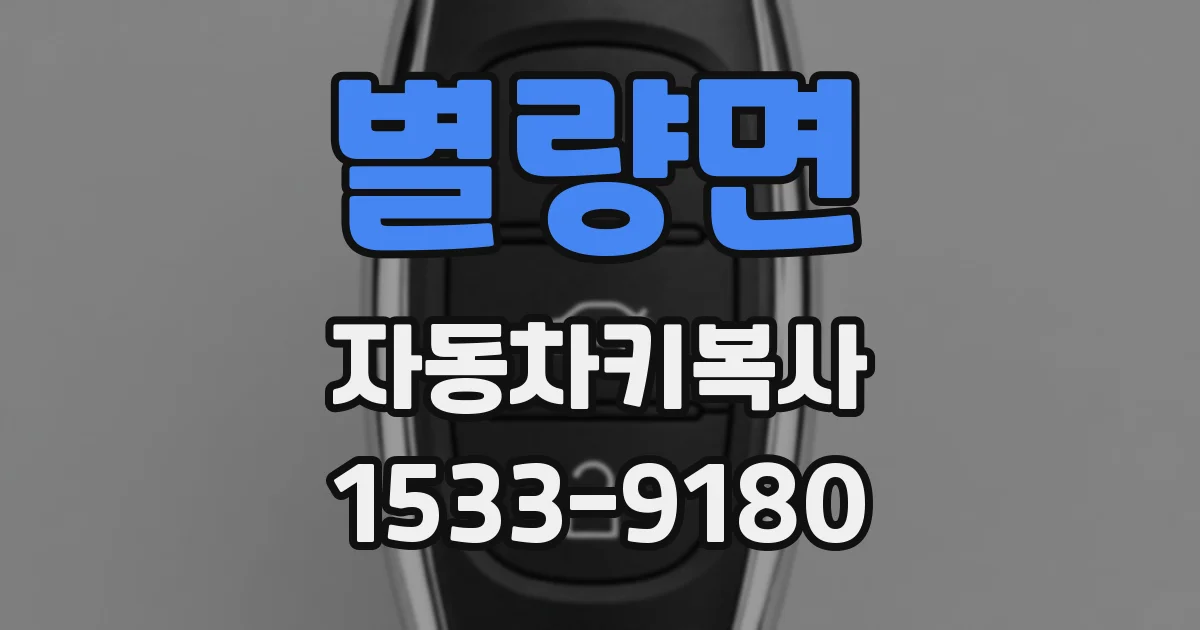 별량면 자동차키복사