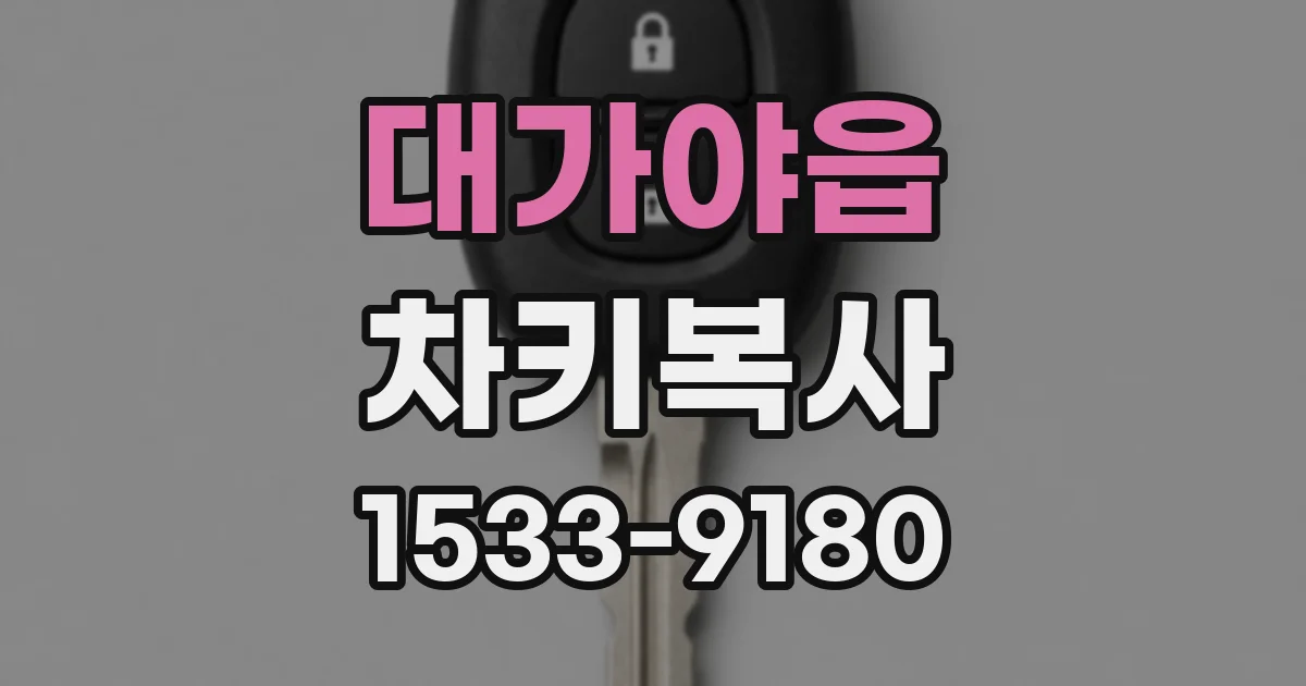 대가야읍 차키복사