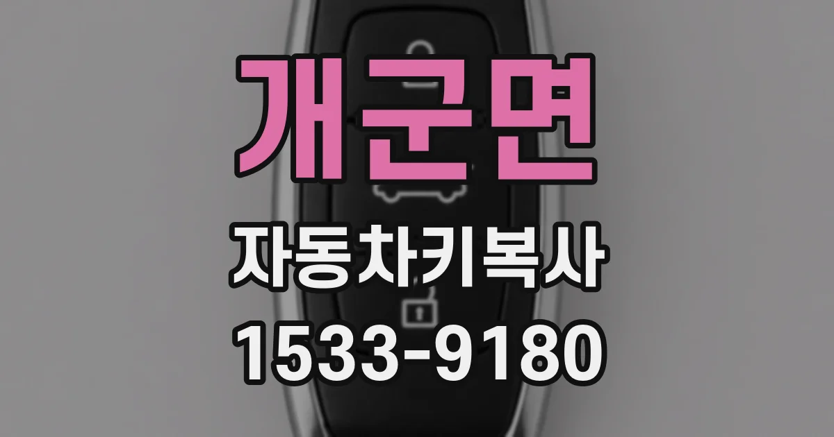 개군면 자동차키복사