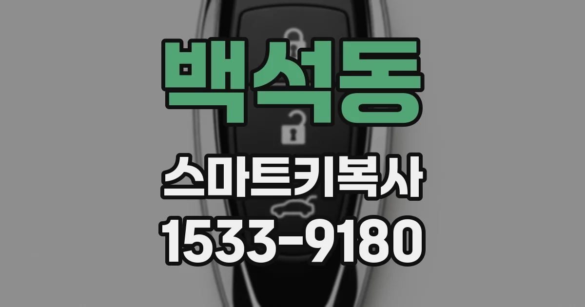 백석동 스마트키복사